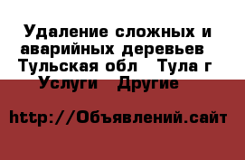 Удаление сложных и аварийных деревьев - Тульская обл., Тула г. Услуги » Другие   